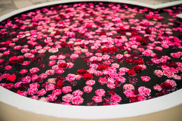 carnation flowers floating on the water of a fountain