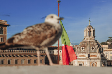 Birds on the top of Altare della Patria in Rome