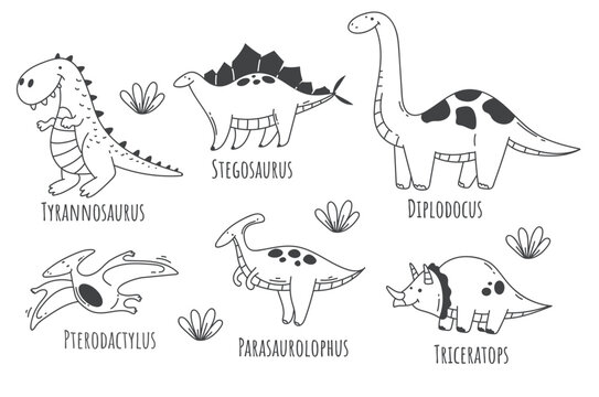 Dinosaurs animal type name line art concept vector design graphic illustration element