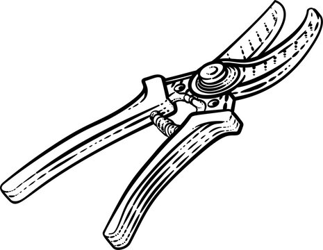 recommend clip art: Secateurs Garden Pruner Gardening Tool Woodcut