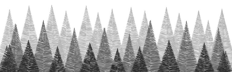 Christmas trees - transparent background. Panoramic banner. PNG illustration
