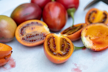 The insight of a tamarillo fruit (Solanum betaceum). It is also known as the tree tomato or blood fruit. The fruit is eaten by scooping the flesh from a halved fruit.