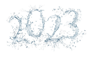 Silvester 241