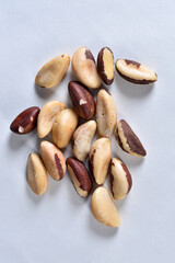 chestnuts are the achenes usually three of the hedgehog, the epinescent capsular fruit of the European chestnut tree (Castanea sativa). chestnut hedgehog