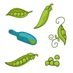 A set of different green peas. The world of legumes.