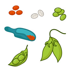 A set of different lentils. The world of legumes.