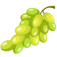 Green grapes illustration isolated. Summer fruit for healthy lifestyle. Cartoon style illustration.