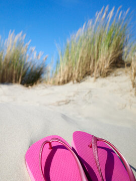 Vertical image of pink flipflops at the beach with sand, dune grass and lots of copy space. Beautiful sunny day.