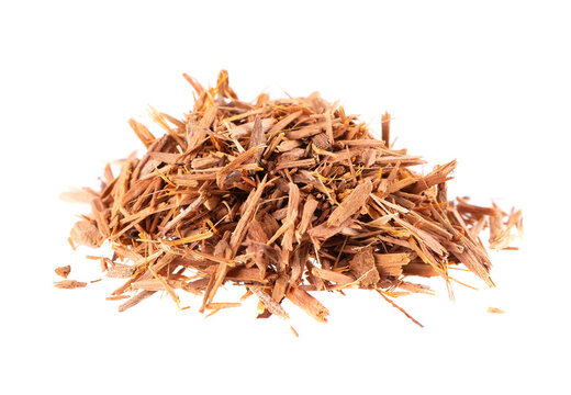 Catuaba bark isolated on white background. Trichilia catigua bark. Chuchuhuasha, Tatuaba, Pau de Reposta, Piratancara and Caramuru.