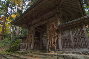 Fototapeta premium 滋賀 百済寺 仁王門の秋景色