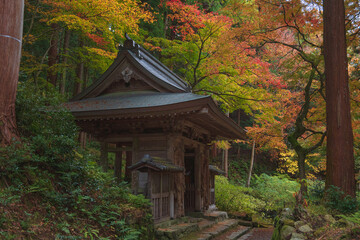 滋賀 百済寺 仁王門の秋景色