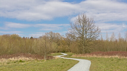 Hiking path in between fields and young birch forest in  Parkbos nature reserve in Ghent, Flanders, Belgium