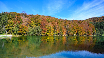 Reflection of colorful trees in water in autumn. Autumn colors on the lake.