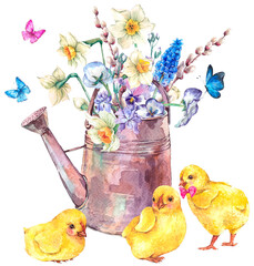 easter chickens and flowers transparent png