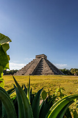 Photo of the pyramid in Chichen Itza taken through the plants.