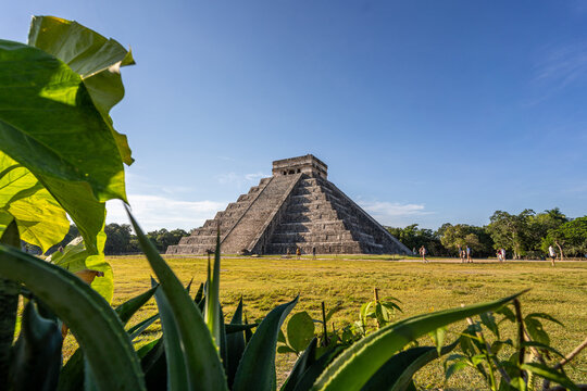 Photo of the pyramid in Chichen Itza taken through the plants.
