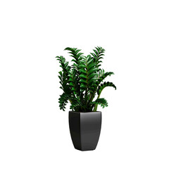 3d illustration of potted plant isolated on transparent background