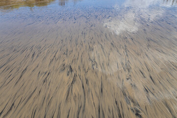 Abstract wavy patterns of different colors formed by sand and water.