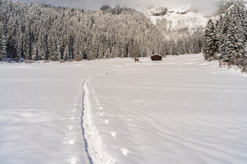 Snowshoe tracks in the fresh snow lead to the mountain hut
