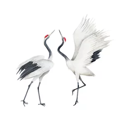 Foto op Plexiglas Watercolor set of cranes. Hand drawn isolated illustration on white background © natikka