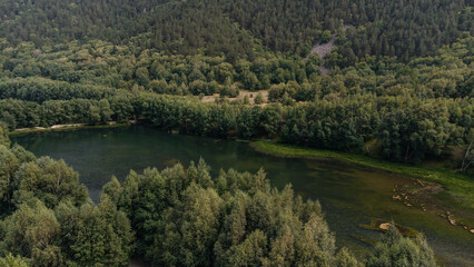 mountain lake of green shade surrounded by Christmas trees