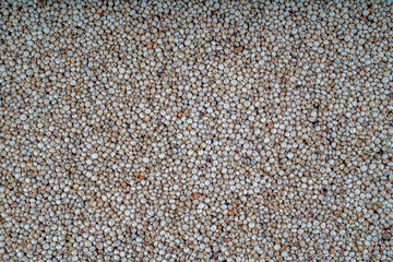 Top view of Sorghum grains,Healthy food sorghum for diet