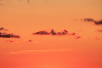 Obraz premium Sunset by the sea.