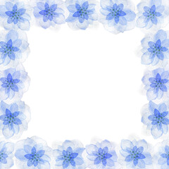 Watercolor frame with large blue flowers and leaves, abstract buds, botanical illustration