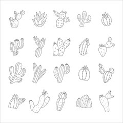 Set of cactus, Hand drawn illustration, line drawing,  doodle style