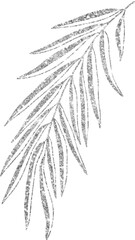 Silver Leaf