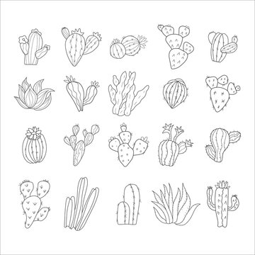 Set of cactus icon, Hand drawn illustration, line drawing, doodle style