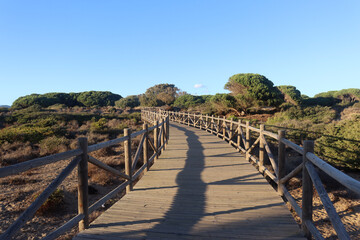 Fototapeta na wymiar Artola Dunes, a natural enclave on the coast of Marbella