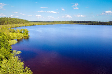 Lake water and green forest trees, aerial view. Summer landscape, beautiful nature, sunny day