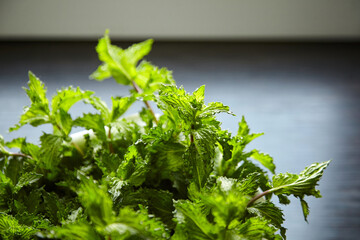 Fresh mint herb leaves in white bowl on wooden kitchen table. Green mint bunch. Cooking food with fresh mint herb ingredient © mikeosphoto