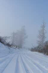 Ski track with snow near the german village called Hallenberg