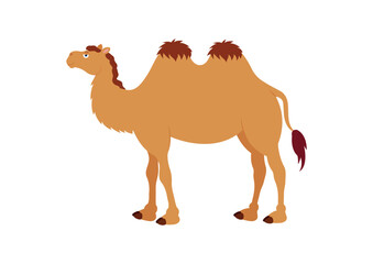 Camel Cartoon Character Isolated On White Background Vector