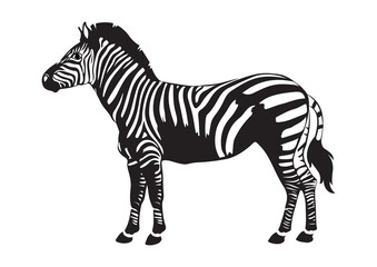 Fototapeta na wymiar Black and white zebra on flat style isolated on white background