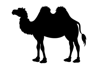 Silhouette of a camel. Black camel silhouette on white background