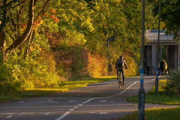 Cyclist biking down a road in colorful fall.