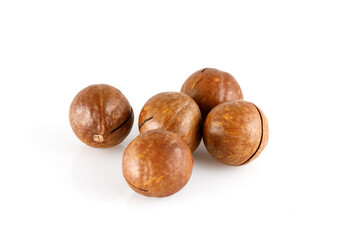 Macadamia nuts in shell isolated on a white background. Close-up. Full depth of field.