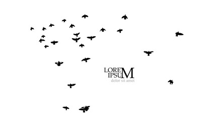 A flock of flying birds. Free birds. Vector illustration
