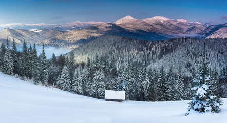 Beautiful winter panoramic landscape of mountains with snow covered trees. Gorgany is a mountain range in Eastern Carpathians. Ukraine.
