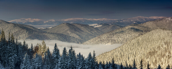Beautiful winter panoramic landscape of mountains with snow covered trees. Gorgany is a mountain range in Eastern Carpathians. Ukraine.