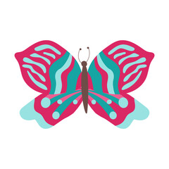 colorful butterfly vector