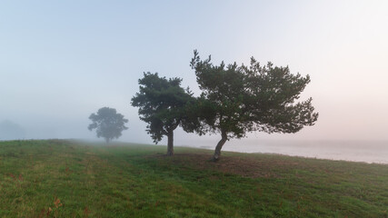 Herbst im Oderbruch in Brandenburg in Deutschland