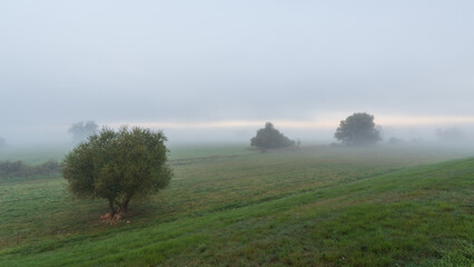 Herbst im Oderbruch in Brandenburg in Deutschland