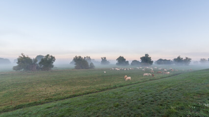 Herbst im Oderbruch in Brandenburg in Deutschland