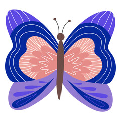 colorful butterfly vector