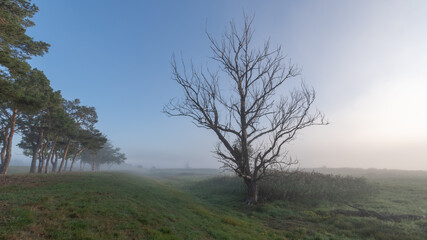 Herbst im Oderbruch in Brandenburg in Deutschland