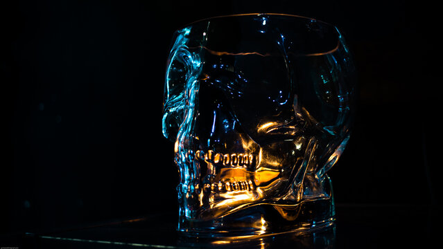 craneo de cristal con flores y reflejos